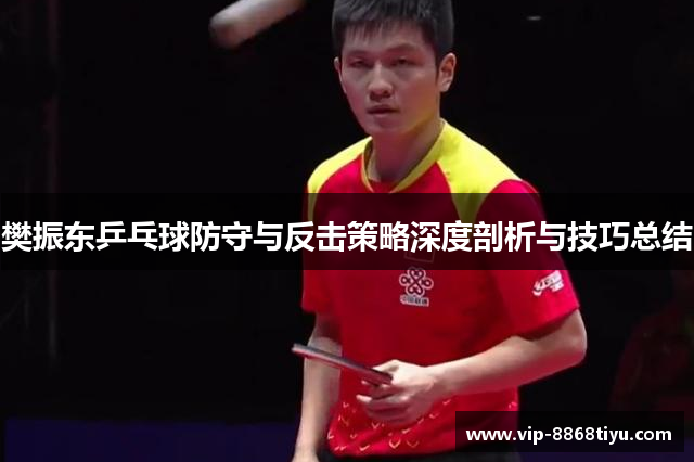樊振东乒乓球防守与反击策略深度剖析与技巧总结