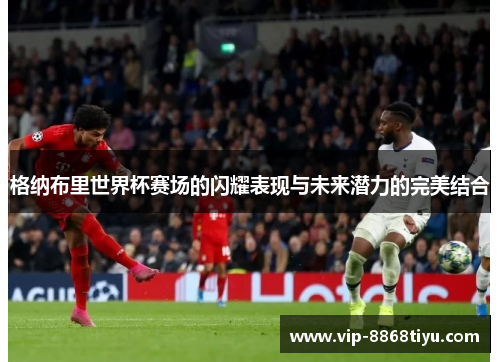 格纳布里世界杯赛场的闪耀表现与未来潜力的完美结合 格纳布里世界杯赛场的闪耀表现与未来潜力的完美结合