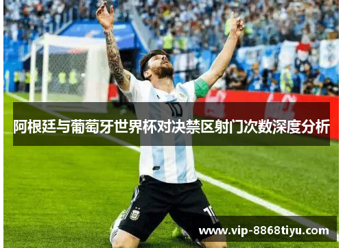 阿根廷与葡萄牙世界杯对决禁区射门次数深度分析