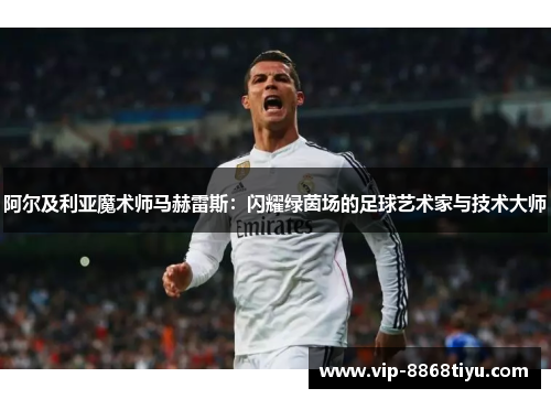 阿尔及利亚魔术师马赫雷斯：闪耀绿茵场的足球艺术家与技术大师