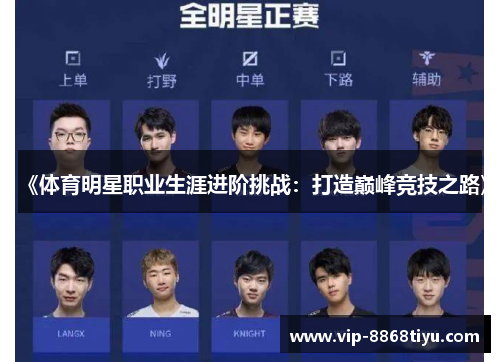 《体育明星职业生涯进阶挑战:打造巅峰竞技之路》 《体育明星职业生涯进阶挑战:打造巅峰竞技之路》