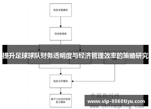提升足球球队财务透明度与经济管理效率的策略研究