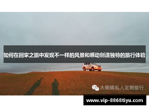 如何在回家之旅中发现不一样的风景和感动创造独特的旅行体验