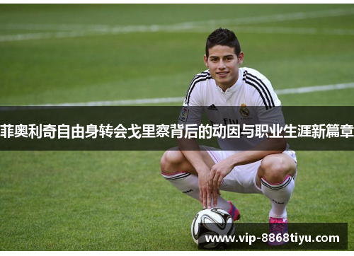 菲奥利奇自由身转会戈里察背后的动因与职业生涯新篇章