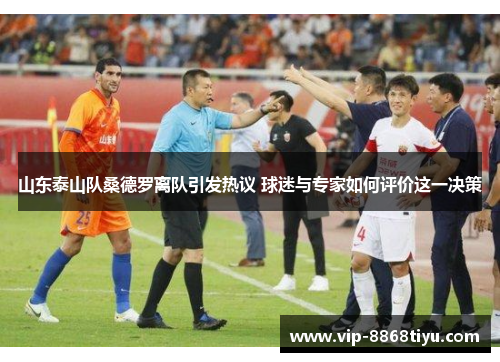 山东泰山队桑德罗离队引发热议 球迷与专家如何评价这一决策