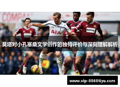 莫塔对小孔塞桑文学创作的独特评价与深刻理解解析