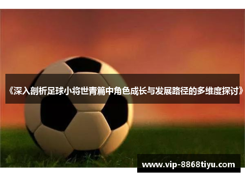 《深入剖析足球小将世青篇中角色成长与发展路径的多维度探讨》 《深入剖析足球小将世青篇中角色成长与发展路径的多维度探讨》
