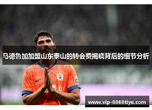 马德鲁加加盟山东泰山的转会费揭晓背后的细节分析