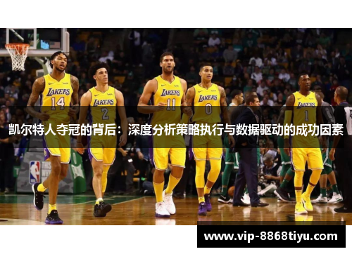 凯尔特人夺冠的背后：深度分析策略执行与数据驱动的成功因素