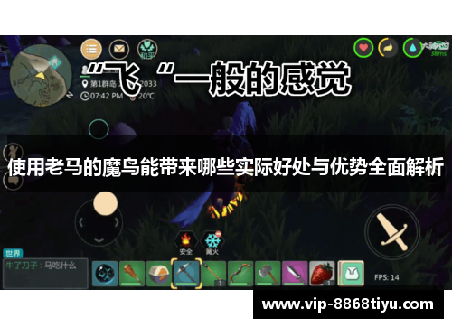 使用老马的魔鸟能带来哪些实际好处与优势全面解析
