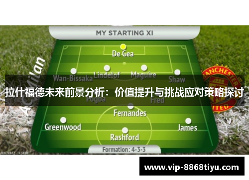 拉什福德未来前景分析：价值提升与挑战应对策略探讨