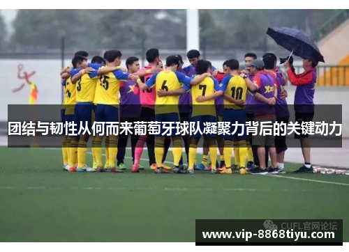 团结与韧性从何而来葡萄牙球队凝聚力背后的关键动力