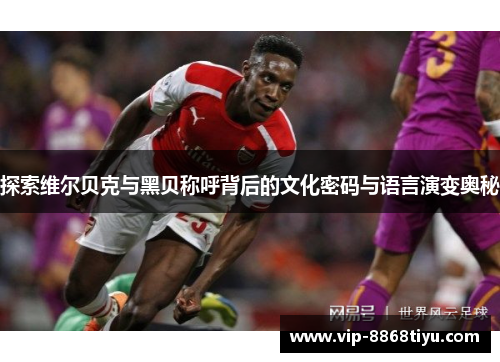 探索维尔贝克与黑贝称呼背后的文化密码与语言演变奥秘