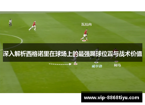 深入解析西格诺里在球场上的最强踢球位置与战术价值